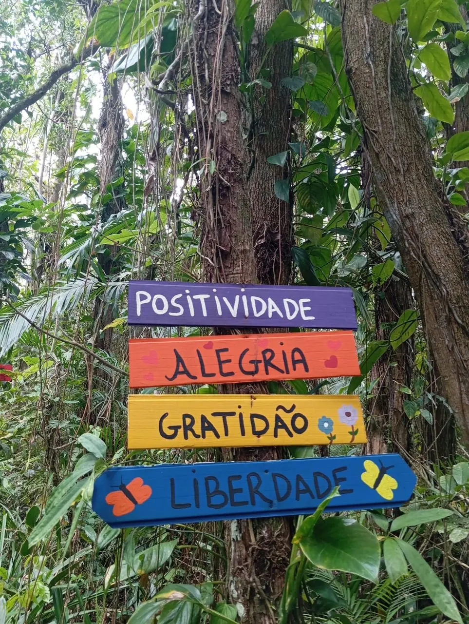 Placas coloridas na mata: Positividade, Alegria, Gratidão, Liberdade