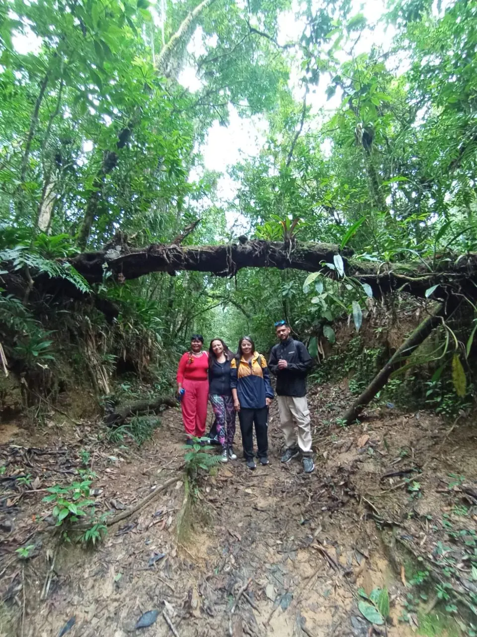 Grupo em trilha na Mata Atlântica